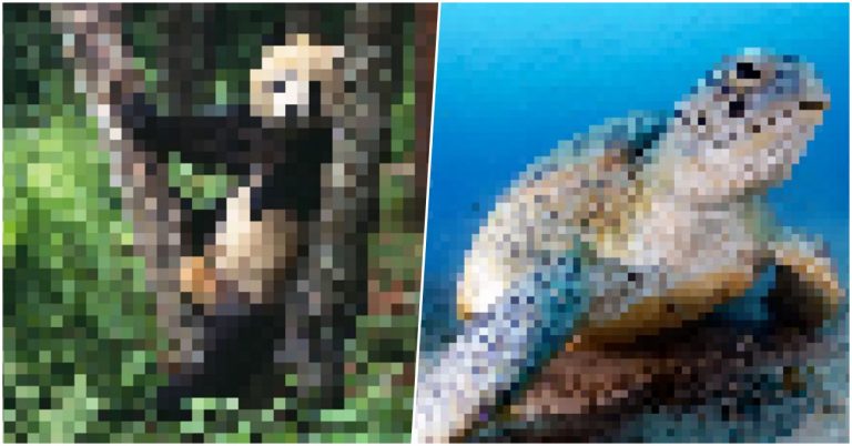 Population-by-pixel-JJSmooth44-endangered-animals-bigumigu-23