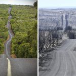 australia-bushfires-before-after-photos-coverimage2
