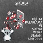 koala ilan
