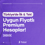 poizoi_Çalışma Yüzeyi 1
