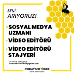 creativebeemedia