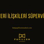 papillon_ilan1200×628